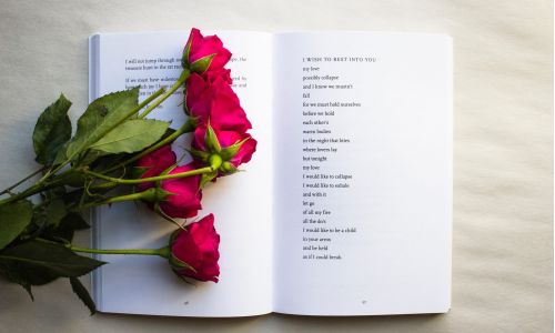 Book of poetry with roses