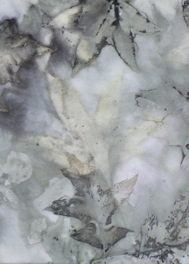 black and white leaf ecoprint watercolour