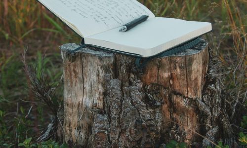 writing book in garden art class sunshine coast