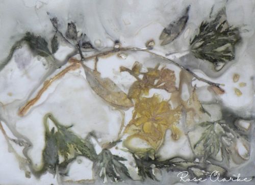 white and green ecoprint watercolour